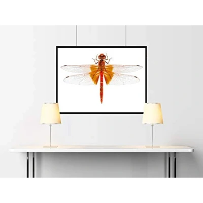 Immagine di 52410 H0, TT Piastra in plastica Grigio scuro (L x L) 200 mm 100 Modello