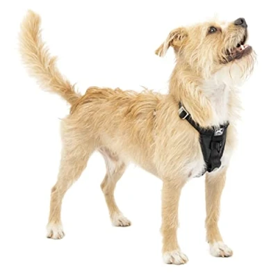 Immagine di Kurgo Tru Fit, Pettorina Intelligente per Cani, Resistenza, Anello a D Addestramento Senza Trazione, Include Moschettone di Sicurezza, Nero, S