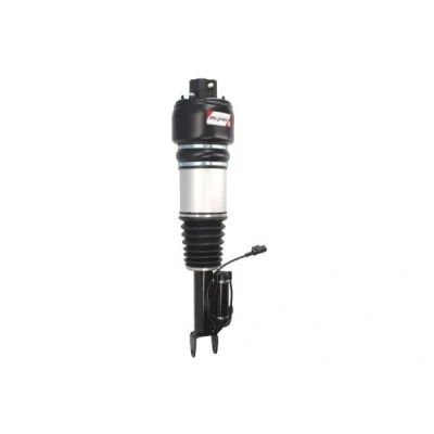 Immagine di Magnum Technology APM003MT Gamba elastica con ammortiz. pneumatico anteriore Dx MERCEDES BENZ: Classe E T modell, CLS Coupe, Sedan