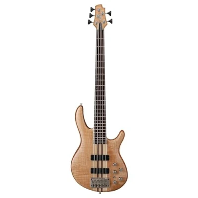 Immagine di Cort B 001 0749 0 Professional Electric Bass 5 String