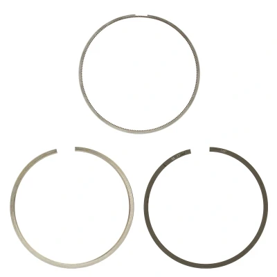 Immagine di KOLBENSCHMIDT 800113210025 Kit Fasce Elastiche 83,25