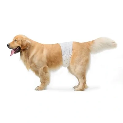 Immagine di Amazon Basics, Pannolini USA e Getta per Cani Maschi L, Confezione da 50, Bianco