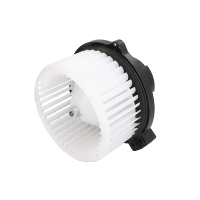 Immagine di Soffiante interna THERMOTEC DDX021TT