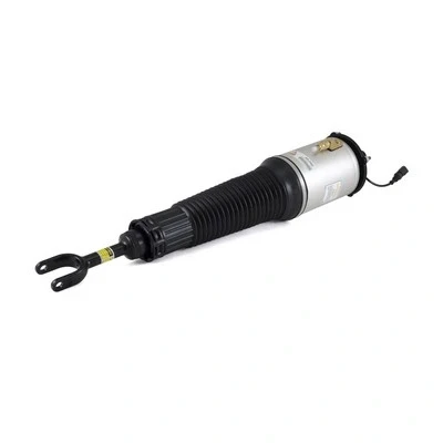 Immagine di Arnott AS 2560 Gamba elastica con ammortiz. pneumatico anteriore Dx AUDI: A8 D3
