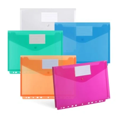 Immagine di DATEFUN Cartellina Portadocumenti A4 Tridimensionale 10 Pezzi Cartelline Trasparenti con Bordi a 11 Fori Buste Plastica Impermeabile per Ufficio Scuola (5 Colori)