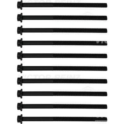 Immagine di REINZ 14 10875 02 Kit Bulloni Testata Multidentata esterna