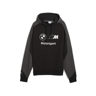 Immagine di Felpa con cappuccio BMW M Motorsport Lifestyle da uomo