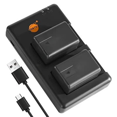 Immagine di DSTE Set di 2 caricabatterie VW VBT190 (2300 mAh/3,7 V) compatibili con Panasonic HC V160, V180, V260, V270, V520, V520M, V530, V550, V550M,