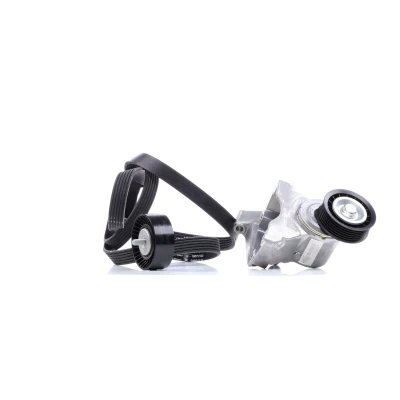 Immagine di INA 529 0007 10 Kit cinghie Poly V Controllare corsa libera generatore ed ev. sostituire FORD: Focus Mk1 Hatchback, Station Wagon