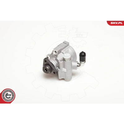 Immagine di ESEN SKV 10SKV003 Pompa Idroguida idraulico 100bar Valvola limita pressione rotativa a palette Alluminio Senso rotazione orario