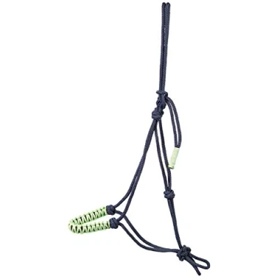 Immagine di PFIFF 102809 Set di cavezza per nodi, colore: Blu/Verde XFull