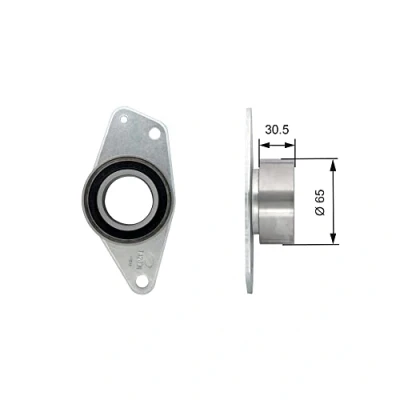 Immagine di GATES FleetRunner Micro V Stretch Fit T42091 Galoppino/Guidacinghia, Cinghia dentata RENAULT: CLIO 2, Kangoo I Express