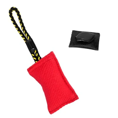 Immagine di DINGO GEAR WWW.DINGOGEAR.COM 1977 Punto di Accesso Wireless Zyxel Cloud Ibrido