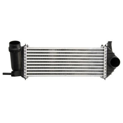 Immagine di THERMOTEC DAM019TT Intercooler RENAULT: Kangoo II Express