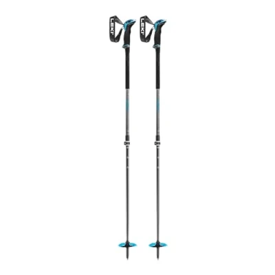 Immagine di Leki Guide Lite 2 Ski poles