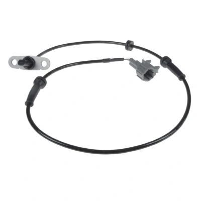 Immagine di BLUE PRINT ADN17125 Sensore ABS Assale posteriore Dx NISSAN: NP300 Navara Pick up, up
