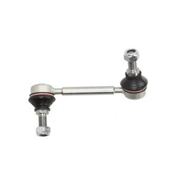 Immagine di Asta/puntone, stabilizzatore TEN CAR DS209