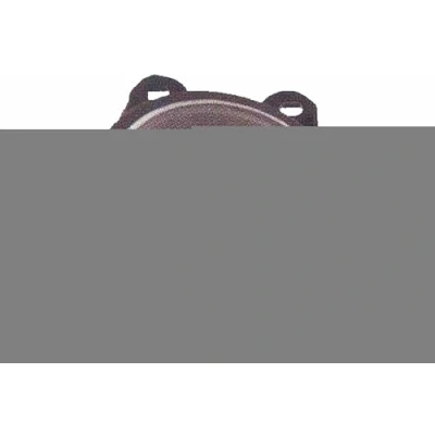 Immagine di PRASCO BM8204423 Fendinebbia cristallino Dx con lampadina BMW: 3 Coupe, X5