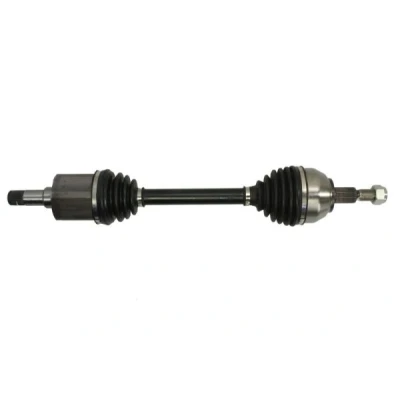 Immagine di Albero motore/Semiasse PASCAL G2G048PC