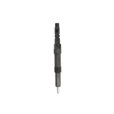 Immagine di DELPHI R00504Z Supporto polverizzatore