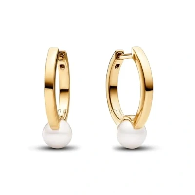 Immagine di Pandora Timeless Auricolari Placcatura in oro 14 carati 263170C01