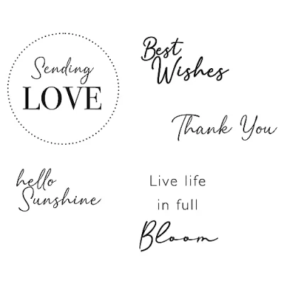 Immagine di Sizzix Trasparenti Everyday Wishes, 665716, Set di timbri in Gomma per Biglietti, Album Ritagli e lavori con la Carta, Clear, One Size