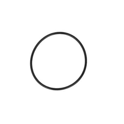 Immagine di Anello in gomma BOSCH F 00V C38 040