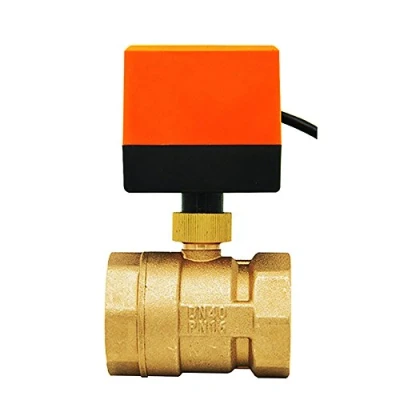 Immagine di DN15 DN20 DN25 DN32 DN40 DN50 valvola Motorizzata AC220V AC24V DC12V 2 vie ottone sfera motore del Attuatore (AC220V DN40)