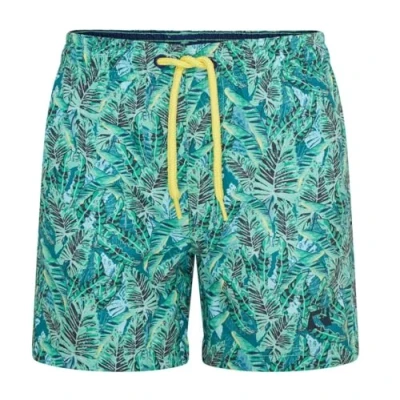 Immagine di Ript Performance Ragazzo Essentials Pantaloncini da Bagno A Rapida Asciugatura con Protezione Solare UV 50, Motivo Foglie Verdi, 3 4 Anni