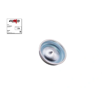 Immagine di AUTOMEGA 110128810 Calotta, Cuscinetto ruota PEUGEOT: 206 Hatchback, 106 II I Hatchback