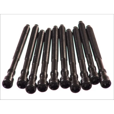 Immagine di ELRING 057.410 Kit Bulloni Testata Scanalature incassate (Ribe CV) AUDI: A4 B6 Avant, B7 B6/B7 Cabrio, VOLKSWAGEN: Passat B5 GP Variant