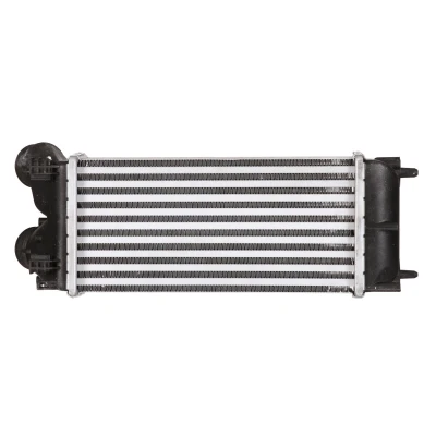 Immagine di NRF 30190 Intercooler CITROËN: C4 Picasso 1, I Grand Picasso, Berlingo II, PEUGEOT: Partner II Tepee, 3008 I, 308 Hatchback mister auto, norauto,