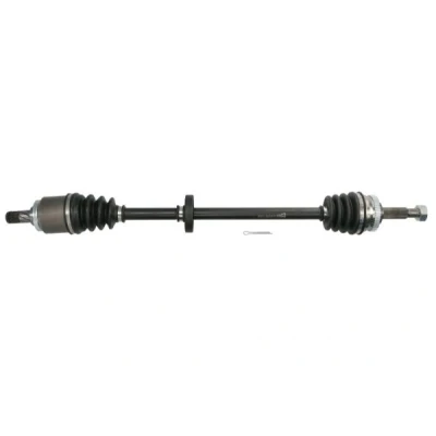 Immagine di Albero motore/Semiasse PASCAL G21017PC
