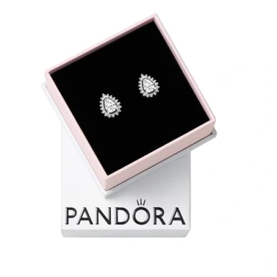 Immagine di Pandora Timeless Auricolari Argento 292834C01