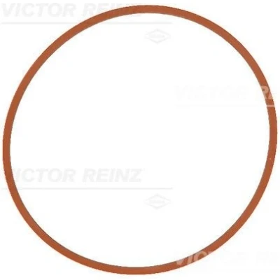 Immagine di REINZ 71 17146 00 Guarnizione Collettore Aspirazione FPM (Fluoro Caucciù) FORD: Transit Connect V408 Van
