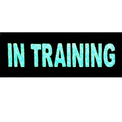 Immagine di In Training Service Animal Nel servizio di addestramento animale Gilet/imbracature Emblema con Fissaggio Chiusura a uncino e asola Ricamata Brilla Buio Toppa