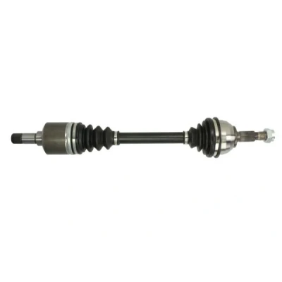 Immagine di Albero motore/Semiasse PASCAL G2C113PC