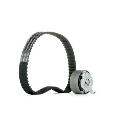 Immagine di FEBI BILSTEIN 40815 Kit cinghia di distribuzione 83 AUDI: A6 C6 Avant, A4 B7 A8 D3, VOLKSWAGEN: Touareg I, Phaeton