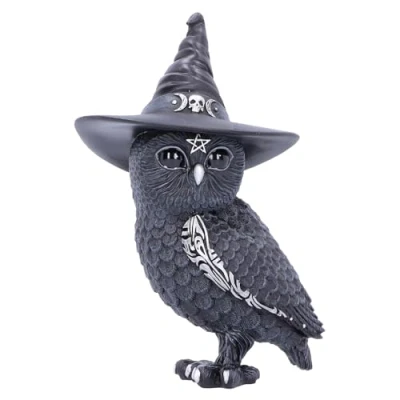 Immagine di Nemesis Now Owlocen Statuetta di gufo stregone con cappello da strega, colore nero, altezza 13,5 cm, in resina