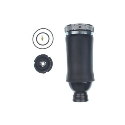Immagine di DENCKERMANN DSA121G Molla pneumatica, Autotelaio Assale anteriore AUDI: Allroad C5