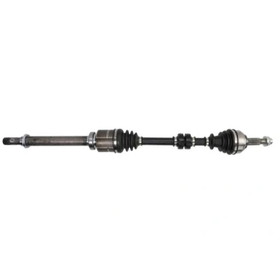 Immagine di Albero motore/Semiasse PASCAL G21015PC