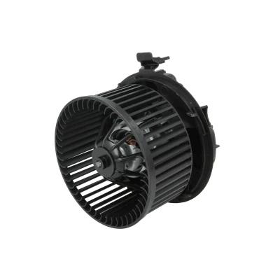 Immagine di THERMOTEC DDR030TT Ventola Abitacolo senza regolatore integrato RENAULT: MEGANE 2, 2 Kombi, Stufenheck