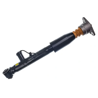 Immagine di DENCKERMANN DSA029G Gamba elastica con ammortiz. pneumatico Assale posteriore Dx AUDI: A6 C6 Avant