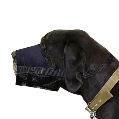 Immagine di Dingo Waldemar Rutkowski 16777 2, Nylon, Nero, XL