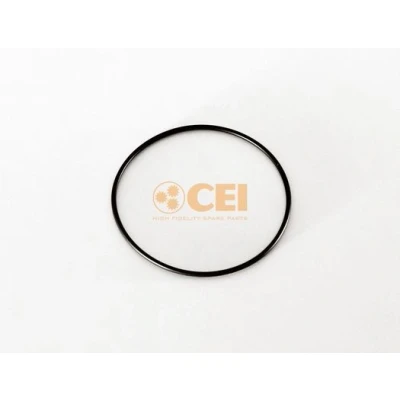 Immagine di O ring, cambio C.E.I 239027