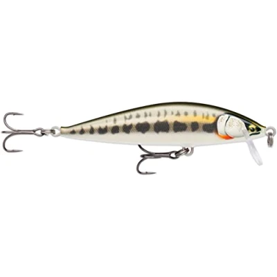 Immagine di Rapala Countdown Fishing Elite Balsa Construction Allento Flusso d&#039;acqua dolce 1,2 m a profondità singola dimensione 9,5 cm / 14g Made in Estonia Roach vivi dorato