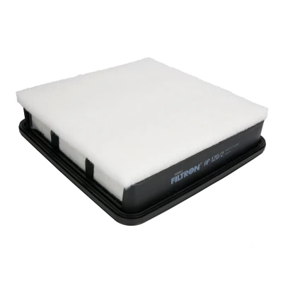 Immagine di FILTRON AP 120/2 filtro aria 67 239 240 Cartuccia MITSUBISHI: L200 / Triton IV Pick up, V up