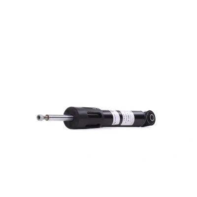 Immagine di SACHS 314 873 Ammortizzatore A pressione del gas doppio tubo telescopico Spina superiore, Occhiello inferiore BMW: 5 GT