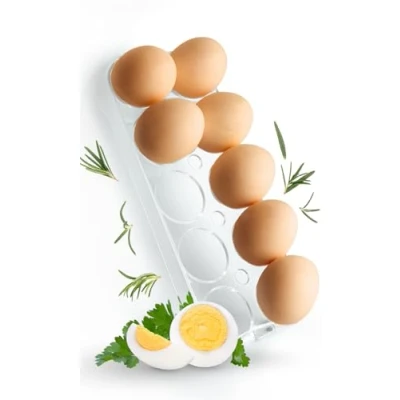 Immagine di Supporto universale per uova 2252 frigorifero, frigorifero e congelatore, fino a 10 uova, dimensioni (altezza x larghezza profondità): 2.5 cm 23.5 9.5 (verificare le dimensioni).