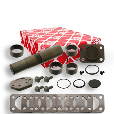Immagine di FEBI BILSTEIN 40130 Kit riparazione, Perno fuso a snodo Sx
